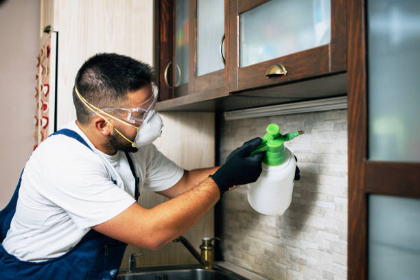 Best Pest Prevention Services  in Fanwood, NJ