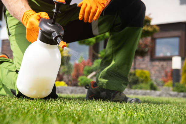 Professional Pest Control in Fanwood, NJ