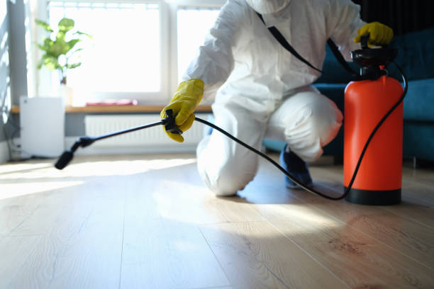 Best Wasp Removal Services  in Fanwood, NJ