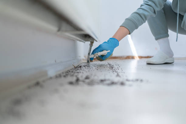 Best Pest Control Treatment  in Fanwood, NJ